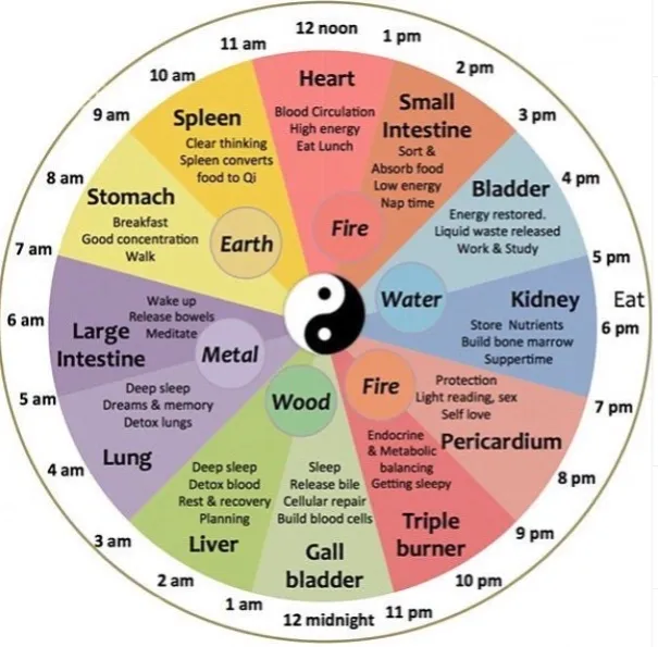 A mesmerizing yin yang wheel showcasing various forms of yin yang, including one inspired by the concept of insomnia.