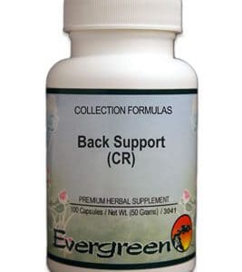 Evergreen BACK SUPPORT (CR) (100 CAPS) (EVERGREEN).
