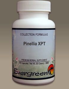 Pineella xpt (100 caps) (Evergreen) - collection formulas.
