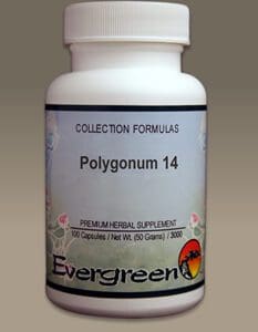 POLYGONUM 14 (100 CAPS) (EVERGREEN) - collection formulas.