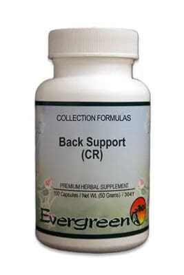 Evergreen Back Support CR