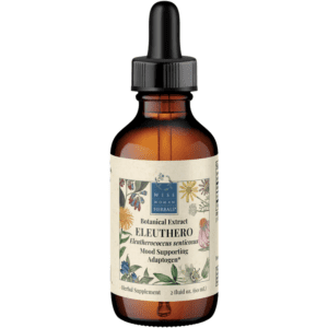 Eleutherococcus senticosus - eleuthero
