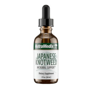 Japanese Knotweed- NutraMedix, LLC