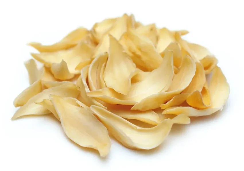 A pile of yellow petals, representing the beauty and therapeutic properties of herbal medicine, on a serene white background.