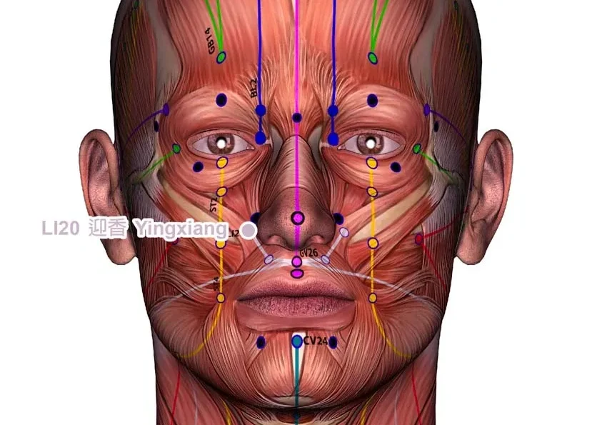 A man's face is shown with different facial muscles, displaying a range of expressions.